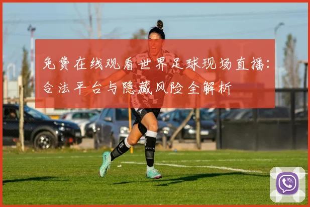 免费在线观看世界足球现场直播：合法平台与隐藏风险全解析